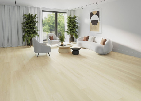 701x Oak Light EIR